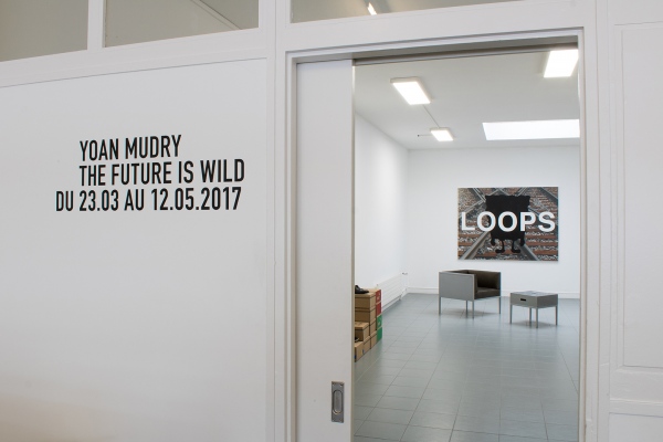 Yoan Mudry, posters, The Future is wild, exhibition views, soloshow, Art Bartschi, 2017